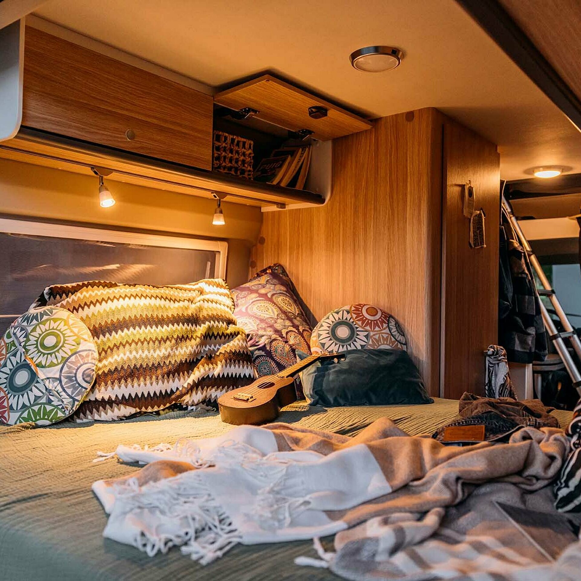 Sunlight CLIFF RT Adventure Edition 2023 Bett